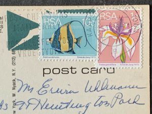 SS Austral Envoy Sydney Australia Chrome Postcard H2021081042