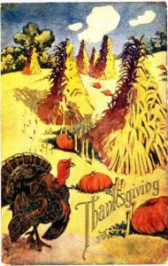 Pumpkins and Turkey Thanksgiving - 1909