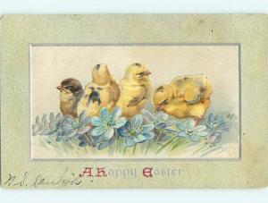 Divided-Back easter tuck CHICKS PLAY IN THE BLUE FLOWERS r3503