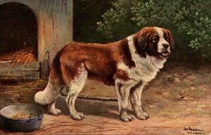 Saint Bernard        Artist: Schonian