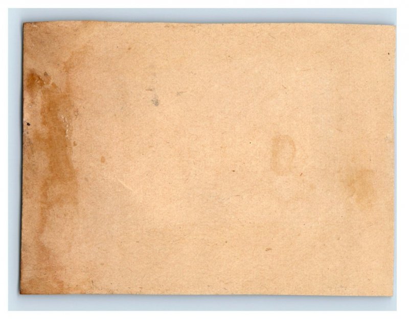 1870s Victorian Trade Card Native American Buffalo Hunting P152