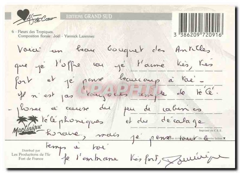 Modern Postcard Martinique Tropical Flowers