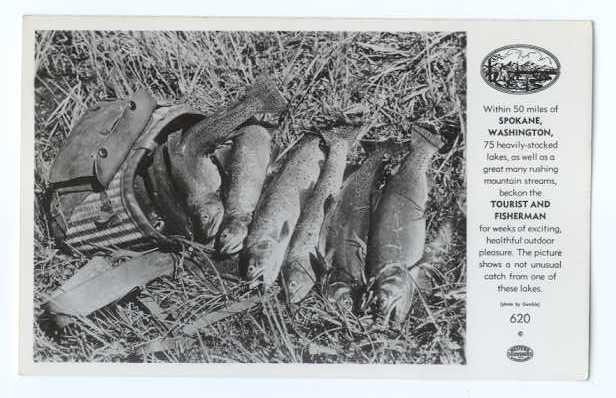 RPPC of a Trout Catch from a Lake near Spokane, Washington, WA