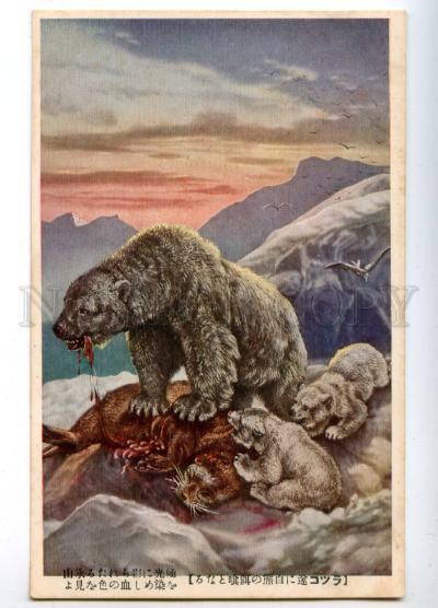 158709 POLAR BEAR Hunt walrus Vintage Japan Colorful PC