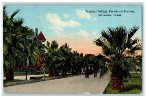 c1910s Tropical Foliage Residence Section Galveston Texas TE Unposted Postcard