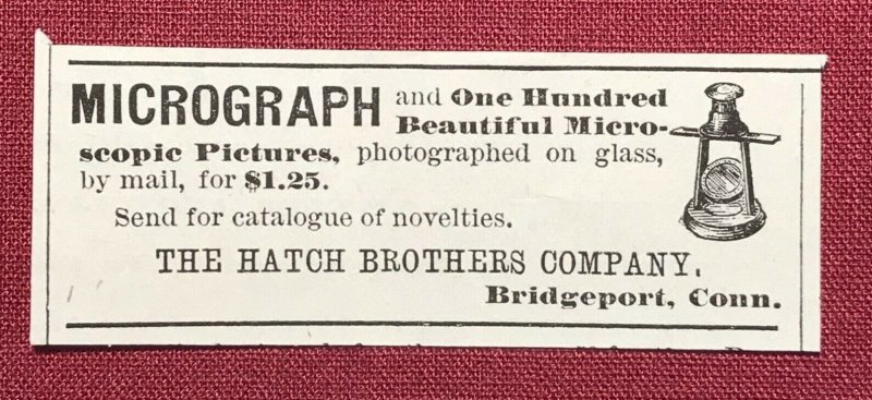 1884 Micrograph Hatch Bros. Victorian Original Print Ad Bridgeport Conn. 2V1-27 