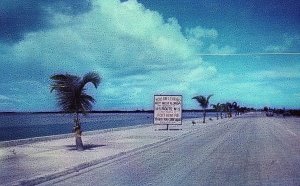 Vintage North Roosevelt Boulevard, Key West, Florida Postcard P131