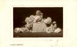 Greeting - Birthday.  RPPC