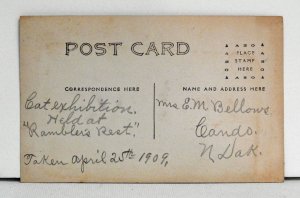 Cat Exhibition at Rambler's Rest - Postcard