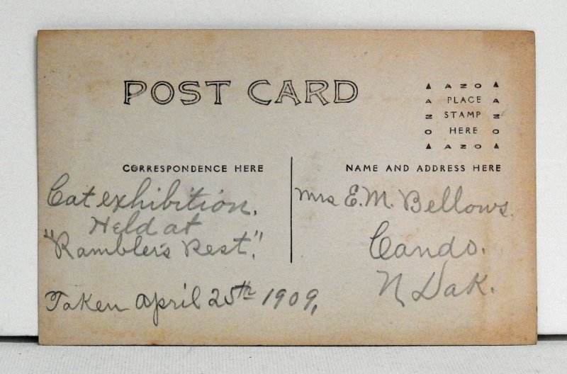 Cat Exhibition at Rambler's Rest - Postcard