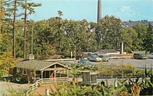 Washington Children's Farm Zoo Mt Rainier Smith Western Postcard 22-294