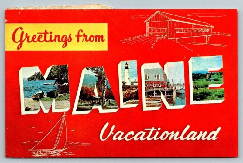 Large letter Greetings From Maine  Vacationland   Postcard   1963