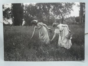 Young Ladies Picking Flowers Postcard Early Photo by Robert Demachy c1895 -1900