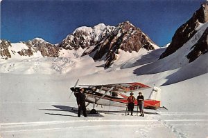 Fox Snowfield South Westland New Zealand C 