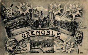 CPA GRENOBLE Souvenir de GRENOBLE (685189)