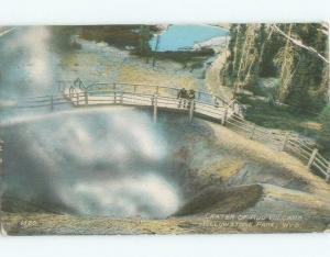 Divided-Back CRATER OF MUD VOLCANO Yellowstone National Park Wyoming WY c9466