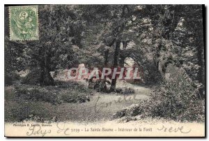 Old Postcard La Sainte Baume Interior de la Foret