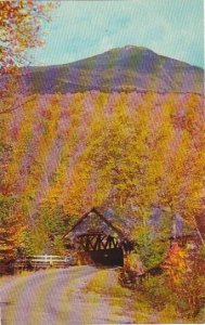 New Hampshire White Mountains Mount LIberty And Covered Bridge In the Flume G...