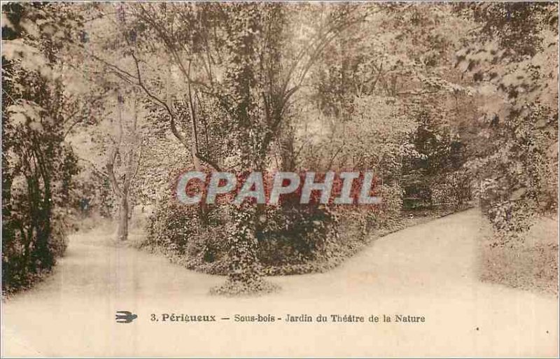 Postcard Old Perigeux Undergrowth Garden Theater of Nature