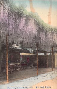 Beautiful Early c.'08, Japan,Wisteria of Daitokuji, , Nagasaki , Old Post Card