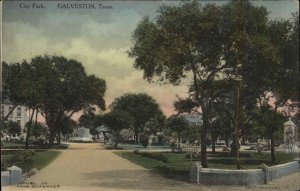 Galveston Texas TX City Park c1910 Postcard