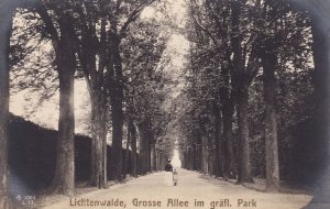 Lichtenwalde Gross Allee Im Grafi Park Antique German Postcard