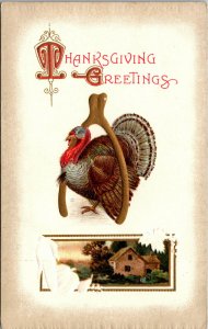 Vtg 1910s Thanksgiving Greetings Turkey Wishbone Farm House Embossed Postcard