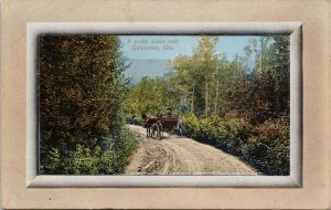 Pretty Scene near Edmonton Alberta AB Horse Buggy Road Unused Postcard H38