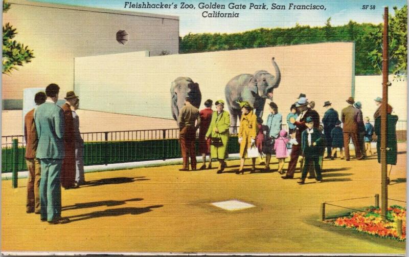 Fleishhacker's Zoo Golden Gate Park San Francisco CA Unused Linen Postcard F7