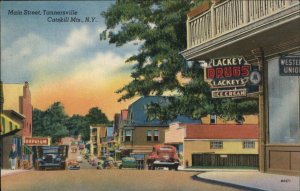 Catskills New York NY Main St. Drugstore c1940s Linen Postcard