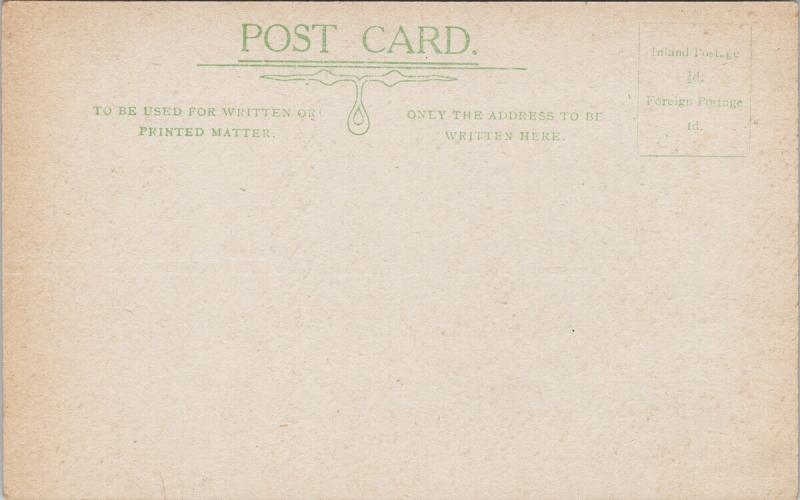 Cotton Tree Freetown Sierra Leone Africa Unused Lisk-Carew BrosPostcard F7