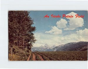 Postcard An Idaho Potato Field Idaho USA