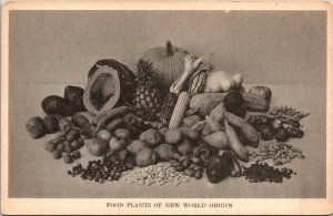 Food Plants of New World Origin Museum Natural History Chicago Postcard