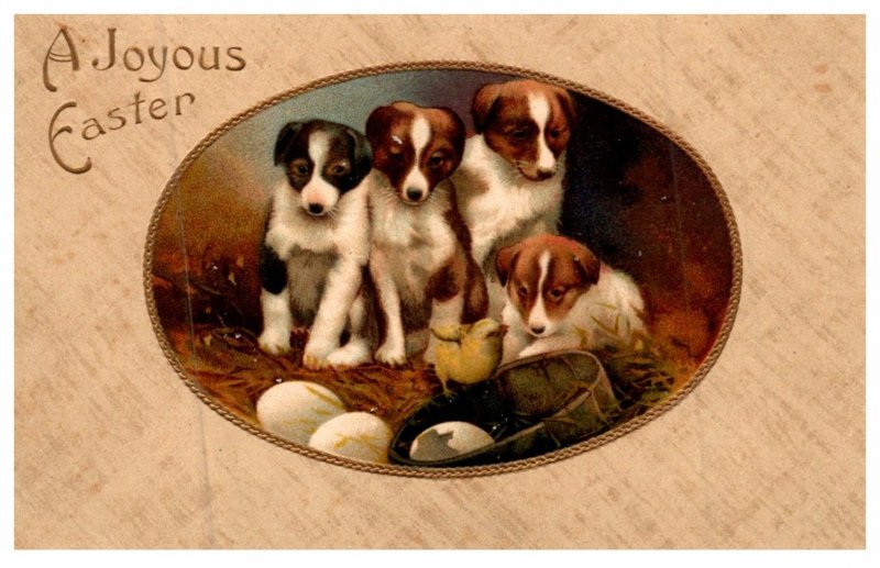 Dog ,  Puppies , Joyous Easter