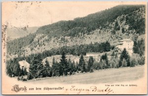 1910's Gruß Aus Dem Böhmerwalde Mountain Slope Germany Posted Postcard