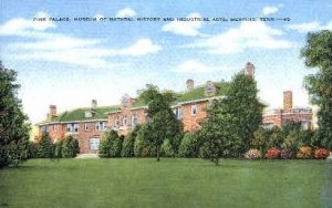 Museum of Natural History - Memphis, Tennessee TN Postcard
