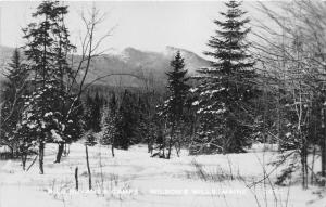 Wilson's Mills Maine~Bill Bryant's Camps in Winter~Snow on Trees~Mtn~c1950s RPPC