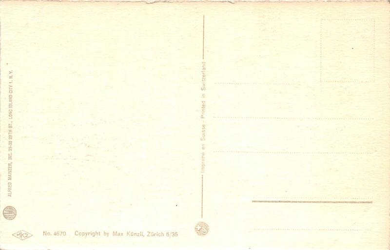 F60/ Alfred Mainzer Dressed Cats Postcard c1940s School Classroom 5