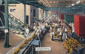 New Orleans LA, Louisiana - Unloading Bananas - Linen