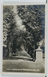 Austria Allee in the Castle Garden Schonbrunn Wien III 1928 Photo Postcard L4