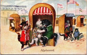 Anthropomorphic Cats At The Beach Vintage Postcard C080