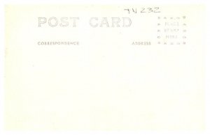 Tennessee Shelbyville , West View   RPPC