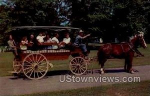 Village Carriage - Dearborn, Michigan MI  