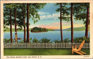 View of the Island, Spafford Lake, Near Keene NH c1943 Vintage Postcard L73 