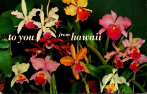 Hawaii Island Orchids To You 1965