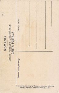 Portul Ţărănesc Rustic Peasant Men Romania 1910c postcard