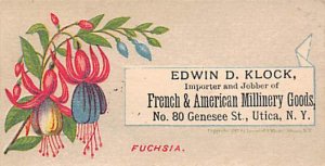 Approx. Size: 2 x 3.5 Edwin D. Klock, importer and jobber of French & America...