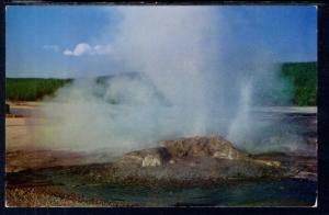 Jet Geyser,Fountain Group,Lowerr Geyser Basin,Tyellowstone National Park BIN