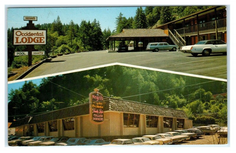 OCCIDENTAL, CA ~Roadside NEGRI'S ITALIAN RESTAURANT Lodge c1960s Cars Postcard