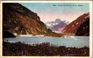 Scene on Stikine River Alaska Postcard PC123